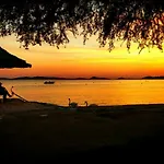 Oliva * Vodice