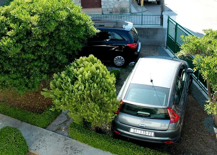 Oliva * וודיצה